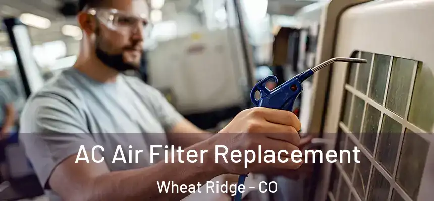  AC Air Filter Replacement Wheat Ridge - CO