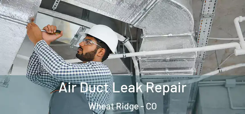 Air Duct Leak Repair Wheat Ridge - CO