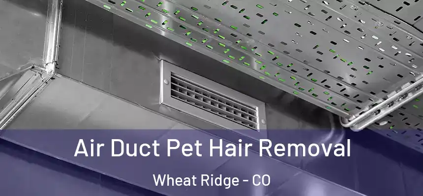 Air Duct Pet Hair Removal Wheat Ridge - CO