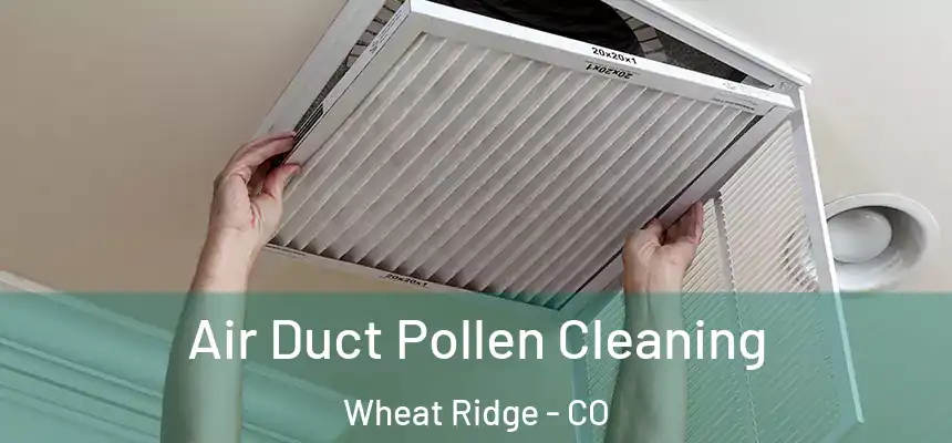  Air Duct Pollen Cleaning Wheat Ridge - CO