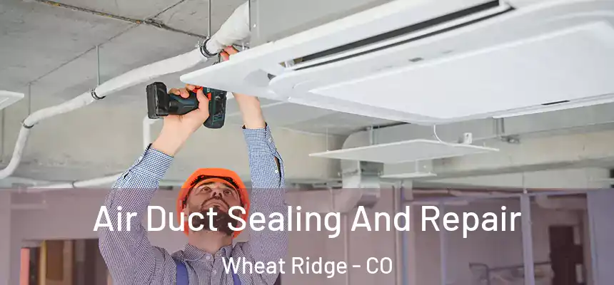 Air Duct Sealing And Repair Wheat Ridge - CO