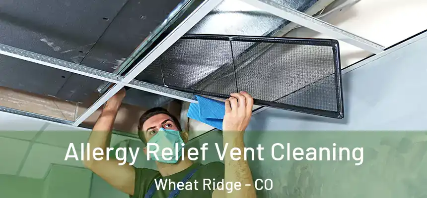 Allergy Relief Vent Cleaning Wheat Ridge - CO