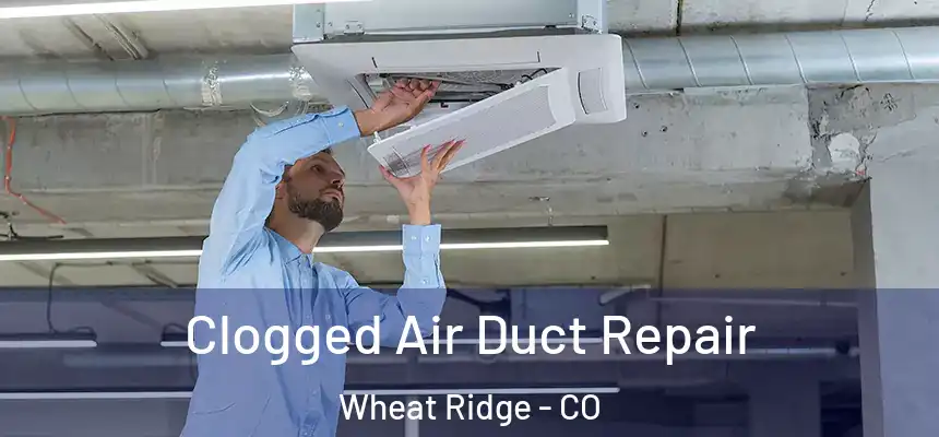Clogged Air Duct Repair Wheat Ridge - CO