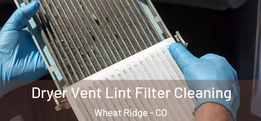  Dryer Vent Lint Filter Cleaning Wheat Ridge - CO