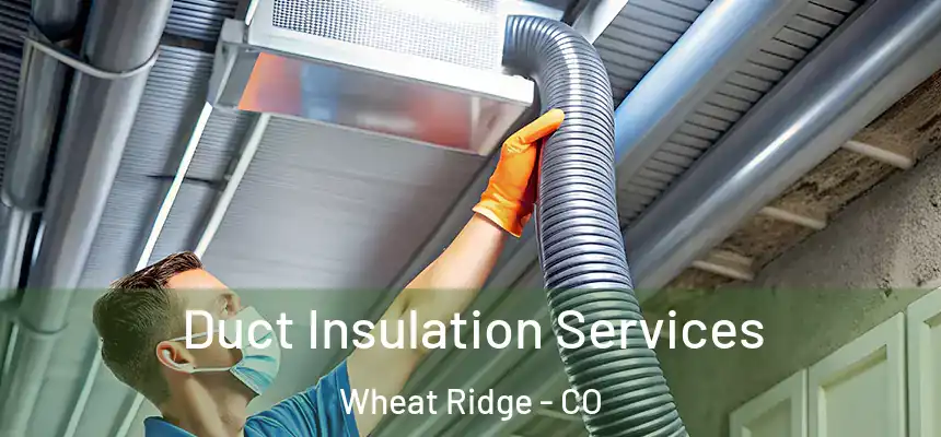  Duct Insulation Services Wheat Ridge - CO