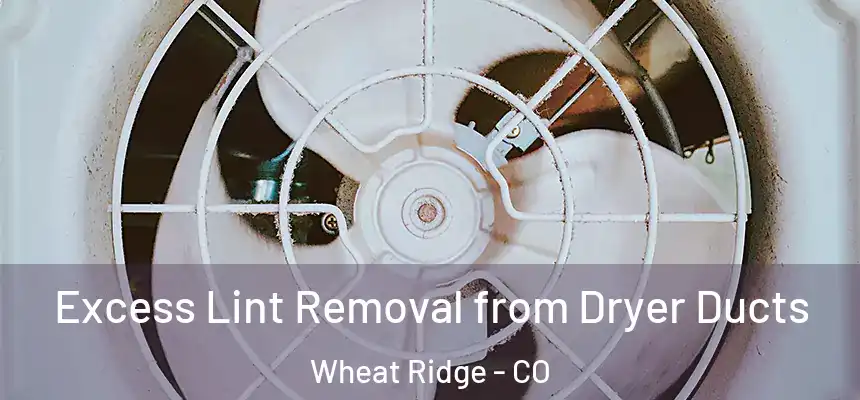  Excess Lint Removal from Dryer Ducts Wheat Ridge - CO
