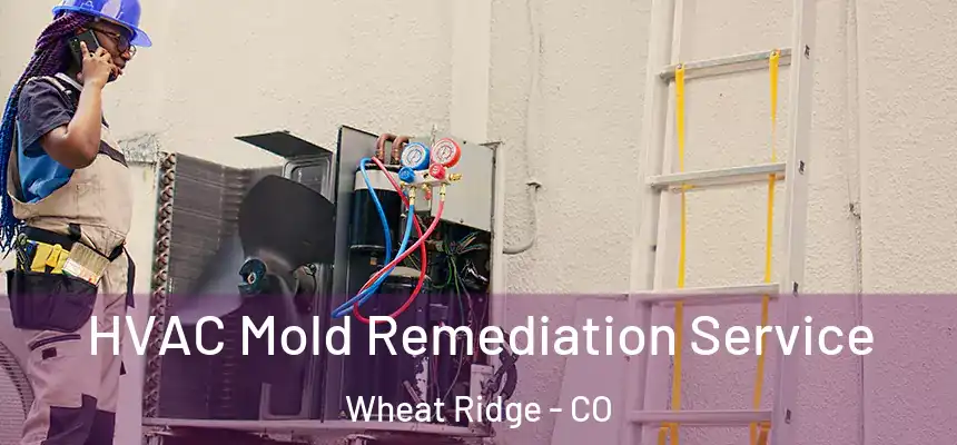 HVAC Mold Remediation Service Wheat Ridge - CO