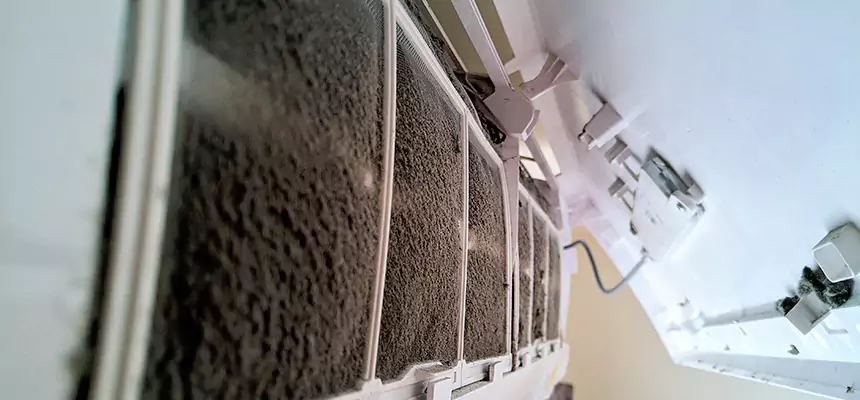 Preventive Air Duct Bacteria Removal in Wheat Ridge