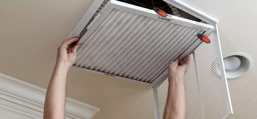 Preventive Cockroach-Proofing for Ducts in Wheat Ridge