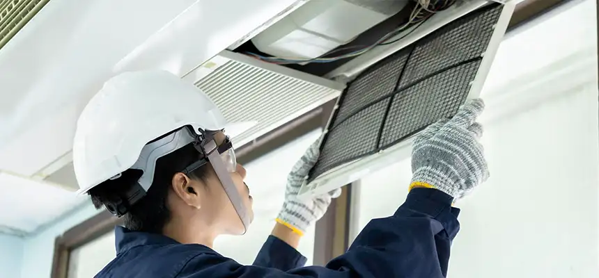 Our Lint Trap Cleaning Service Services in Wheat Ridge, CO