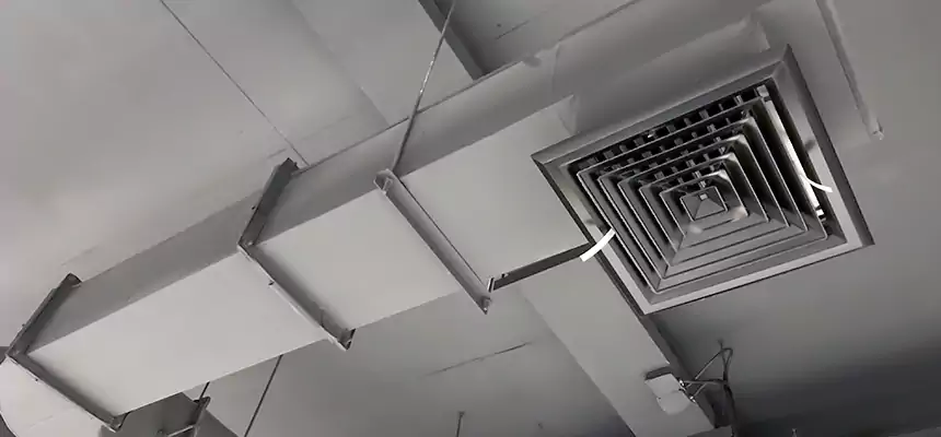 Our Pest Removal From Ducts Services in Wheat Ridge, CO