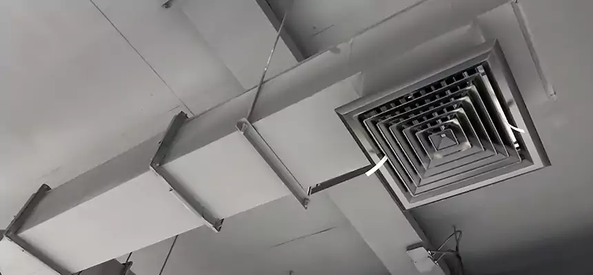 Our Rodent Droppings In Vents Services in Wheat Ridge, CO