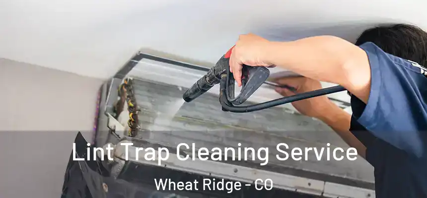 Lint Trap Cleaning Service Wheat Ridge - CO