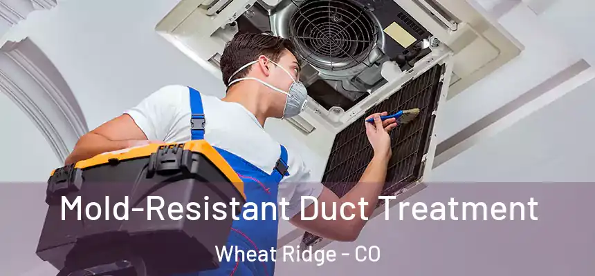  Mold-Resistant Duct Treatment Wheat Ridge - CO