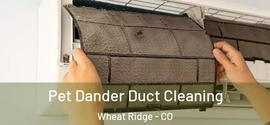  Pet Dander Duct Cleaning Wheat Ridge - CO
