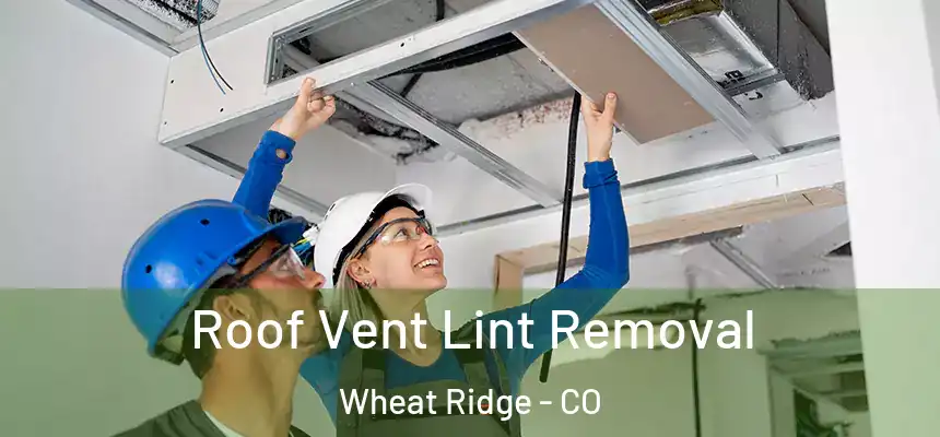  Roof Vent Lint Removal Wheat Ridge - CO