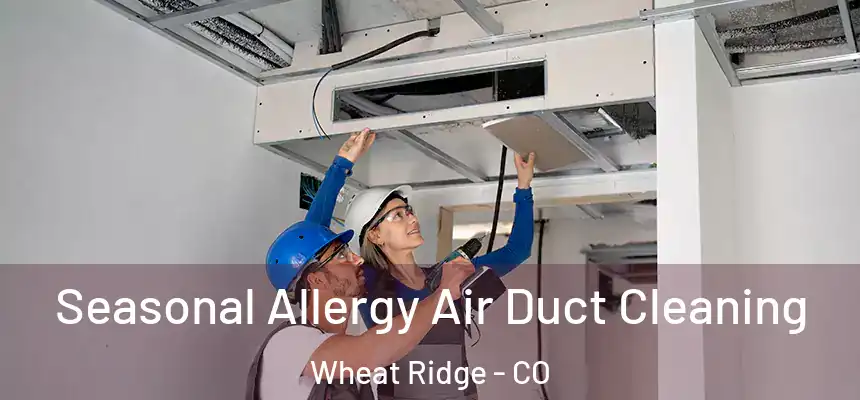 Seasonal Allergy Air Duct Cleaning Wheat Ridge - CO