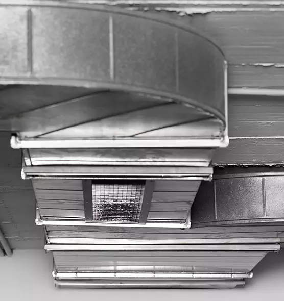 Professional Air Duct Pet Hair Removal in Wheat Ridge, CO