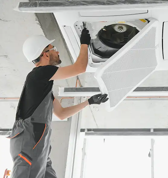 About Air Duct Rodent Removal in Wheat Ridge, CO