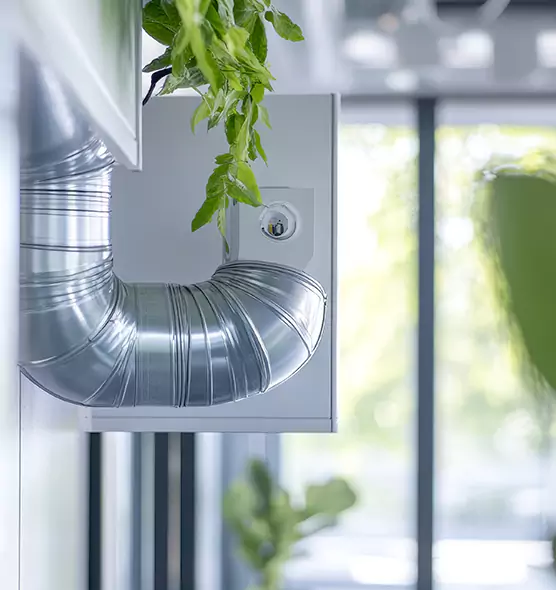 Professional Eco-Friendly Duct Cleaning Services in Wheat Ridge, CO