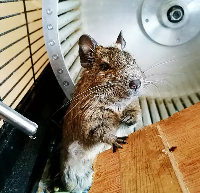 Why Homeowners & Businesses Trust Us Wheat Ridge, CO