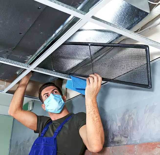 Why Homeowners Businesses Trust Us in Wheat Ridge, CO