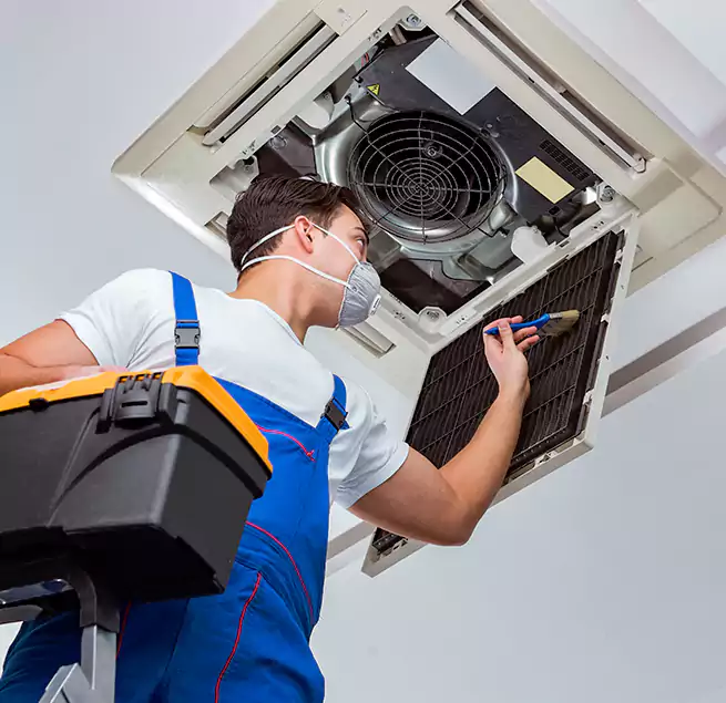 Why Homeowners & Businesses Trust Us in Wheat Ridge, CO