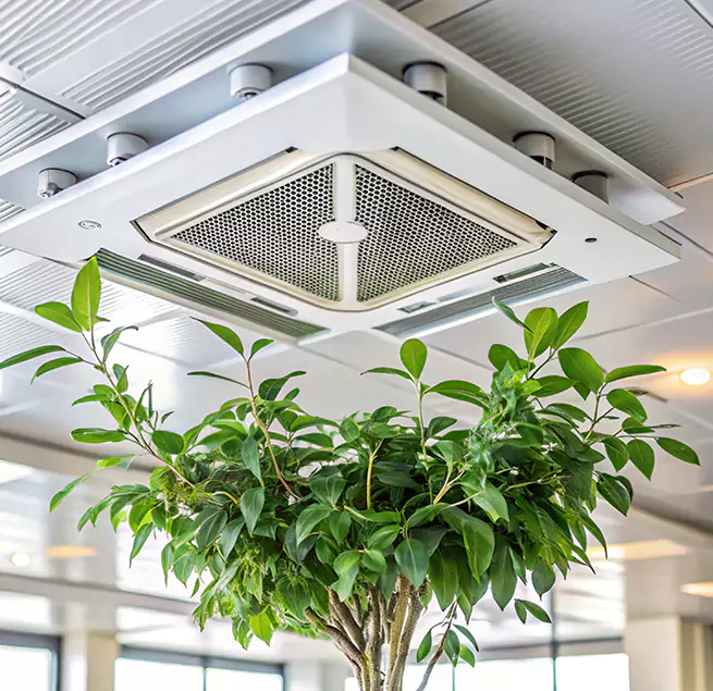 Why Homeowners & Businesses Trust Us in Wheat Ridge, CO?