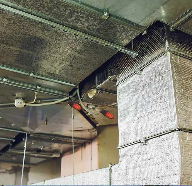 Why Homeowners & Businesses Trust Us Wheat Ridge, CO?